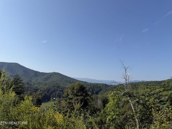 4228 Wears Valley Rd , Unit 161&162, Sevierville, TN 37862