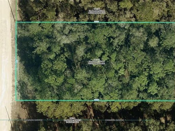R01-221-17-3357-5520-0170 CEDARWOOD AVENUE , WEEKI WACHEE, FL 34614