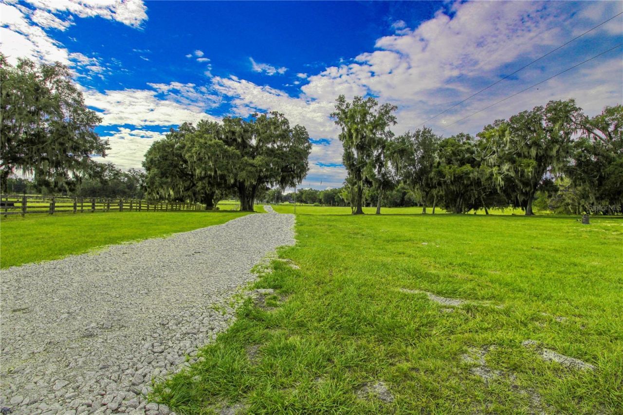 3276 County Road 216, Oxford, FL 34484 Photo