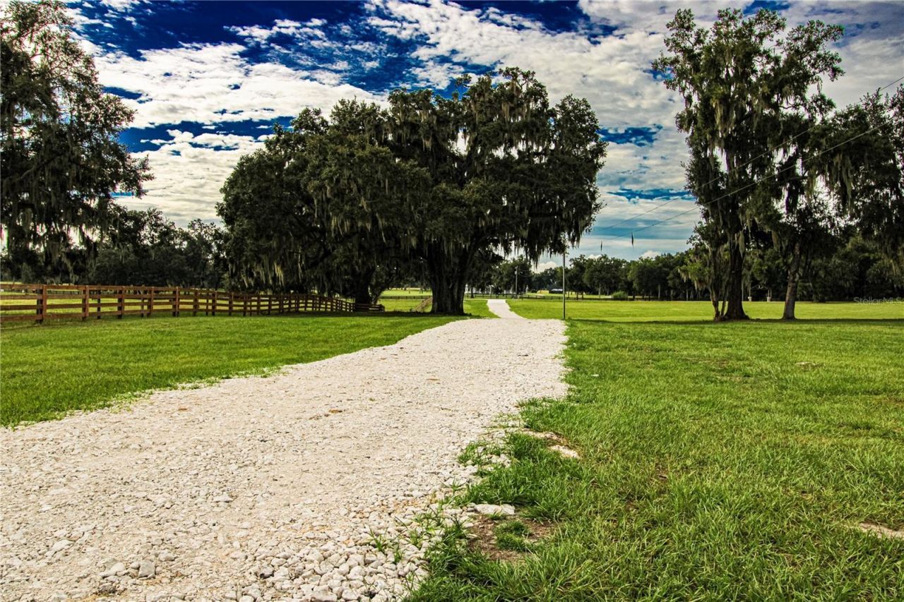 3276 County Road 216, Oxford, FL 34484 Photo