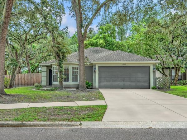 4002 LEVONSHIRE PLACE, VALRICO, FL 33596
