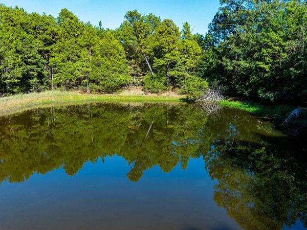 682 Jones Farm Rd , Boswell, AR 72556