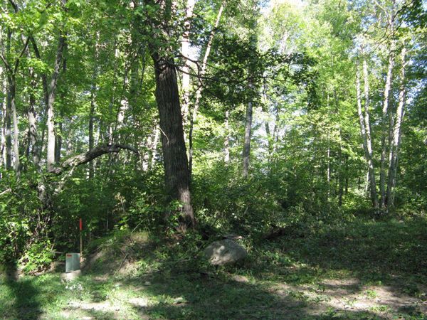 TBD Alpine Drive, Breezy Point, MN 56472