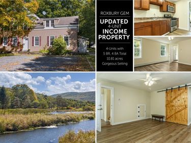 71 Teichman Road, Roxbury, NY 12474