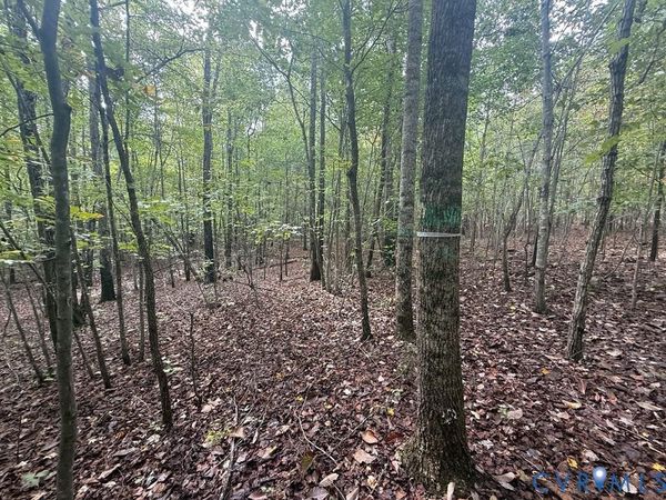 13.52 Westpoint Stevens Road , Drakes Branch, VA 23937