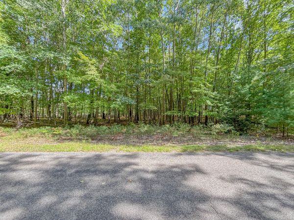 6336 Abbey Lane, Unit #24, Canadian Lakes, MI 49346