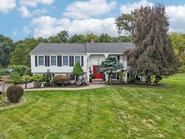 7 Weavers Ln, Readington, NJ 08889
