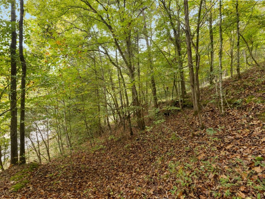 Property Image 37