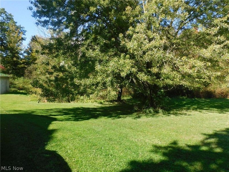 8885 Center Road, Ashtabula, OH 44010 Photo 7