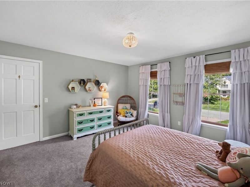 7683 Hudson Park Drive, Hudson, OH 44236 Photo 29