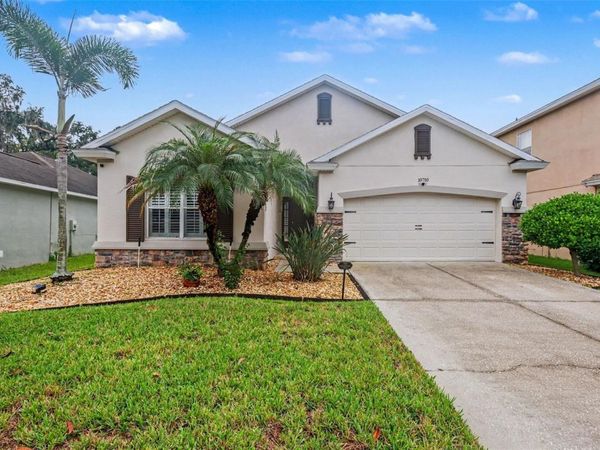 10710 SHADY PRESERVE DR , RIVERVIEW, FL 33579