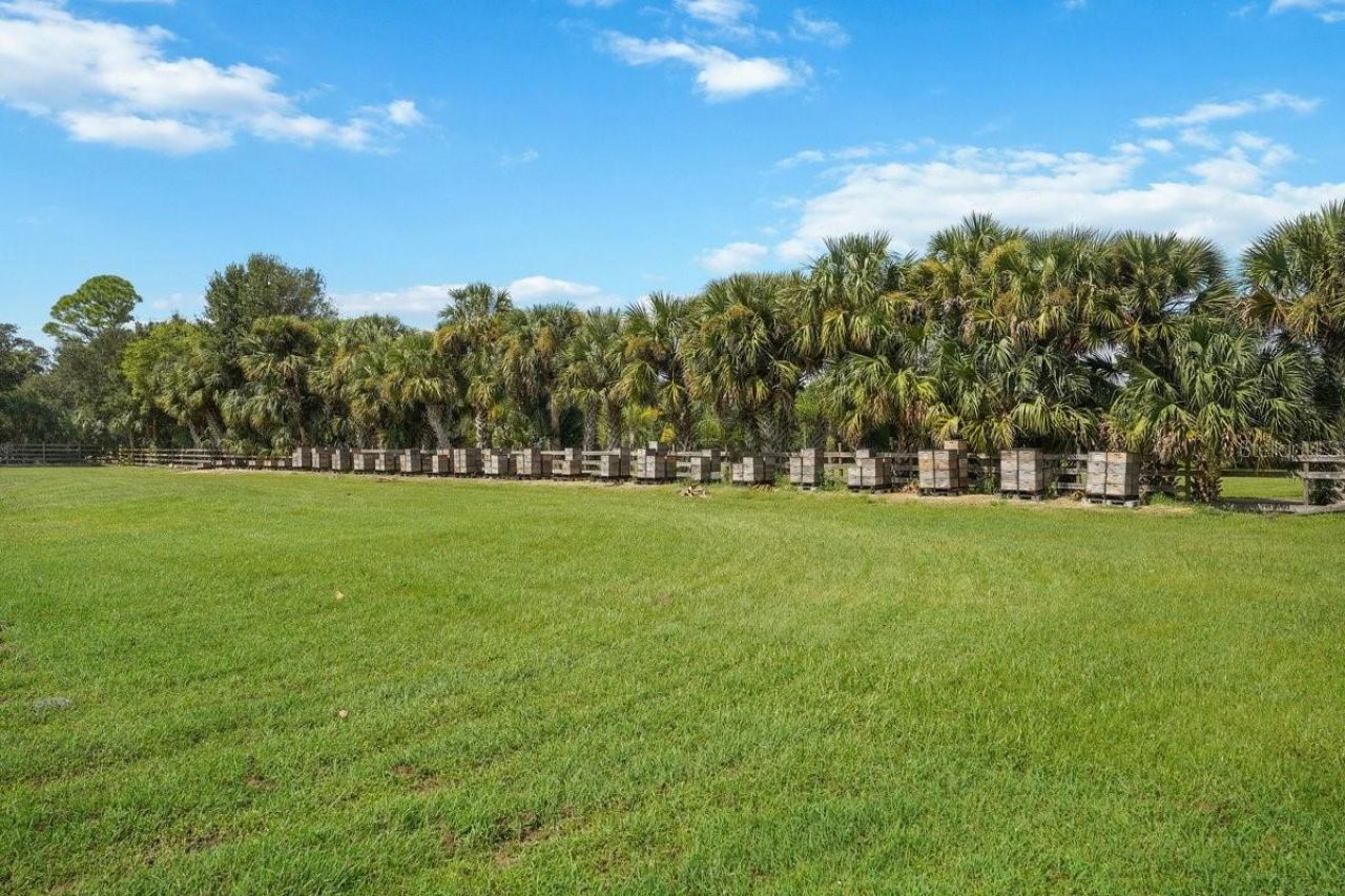 743 Williams Road, New Smyrna Beach, FL 32168 Photo