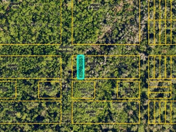 TONITA ROAD , MYAKKA CITY, FL 34251