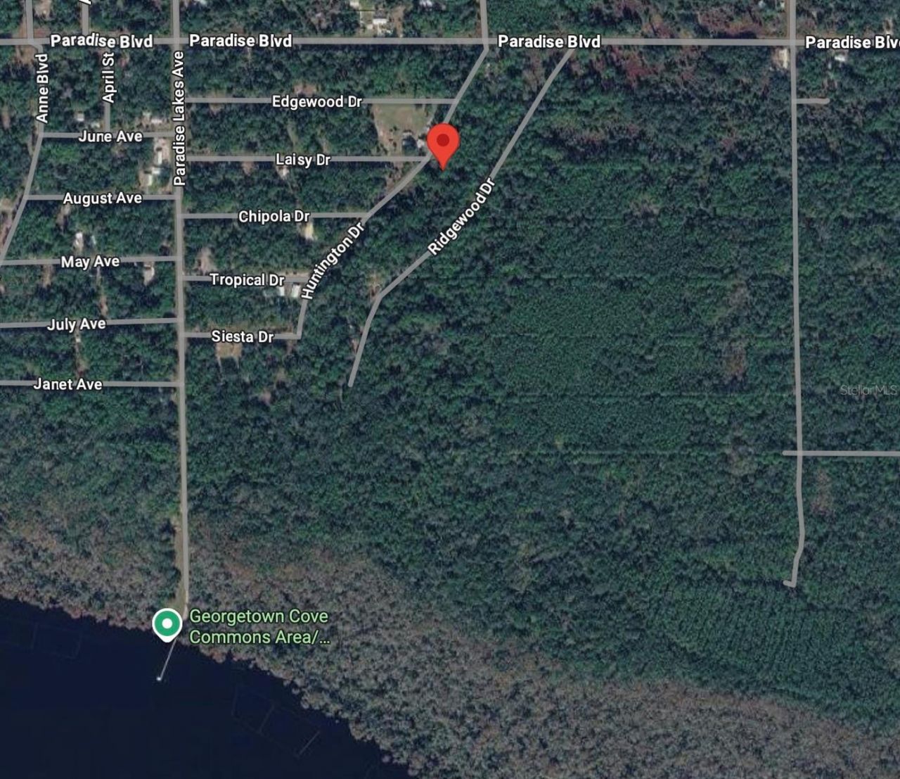 116 Huntington Drive , Georgetown, FL 32139 Photo