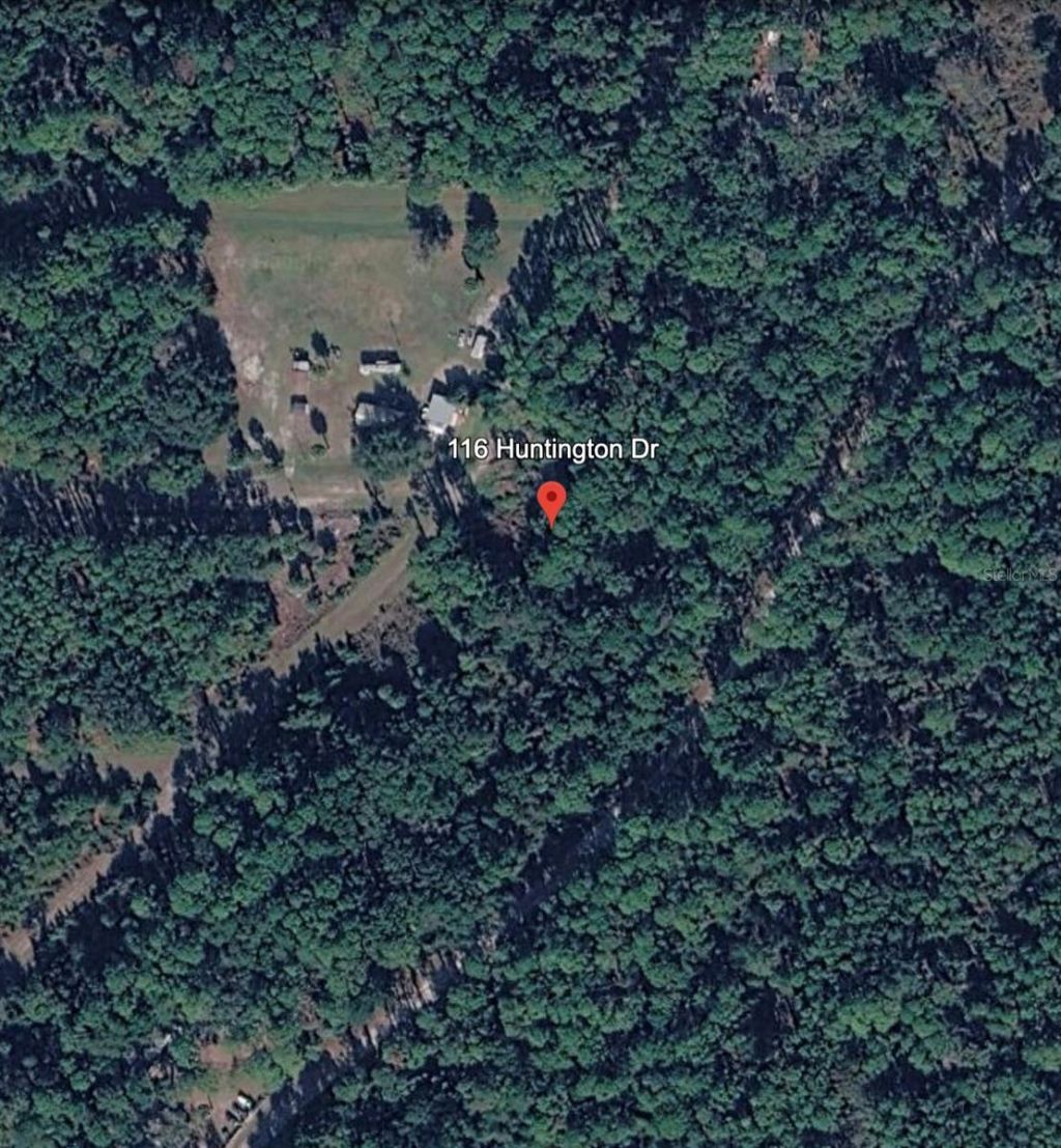 116 Huntington Drive , Georgetown, FL 32139 Photo