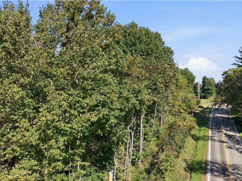41096 State Route 517, Lisbon, OH 44432 Photo 3