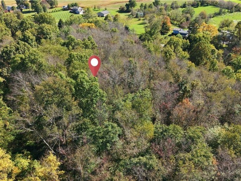 41096 State Route 517, Lisbon, OH 44432 Photo 9