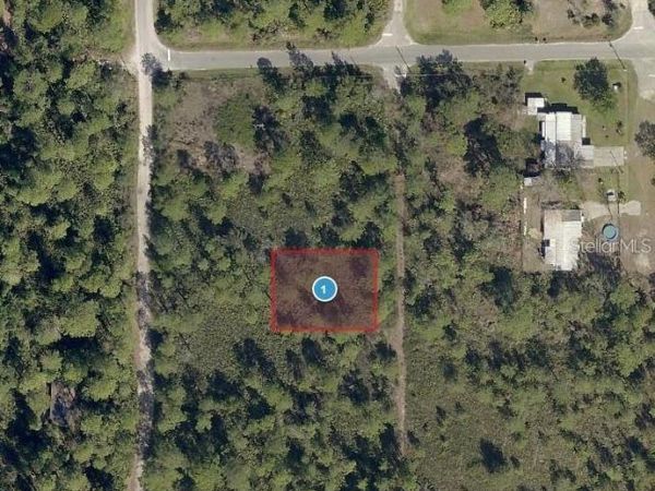 VIRGINIA STREET , PAISLEY, FL 32767