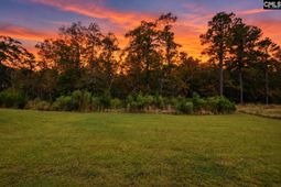 410 Pepperbush Lane  photo 4