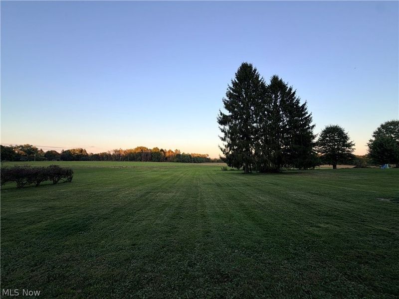 10161 New Buffalo Road, Canfield, OH 44406 Photo 32