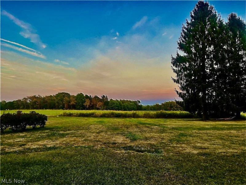 10161 New Buffalo Road, Canfield, OH 44406 Photo 43