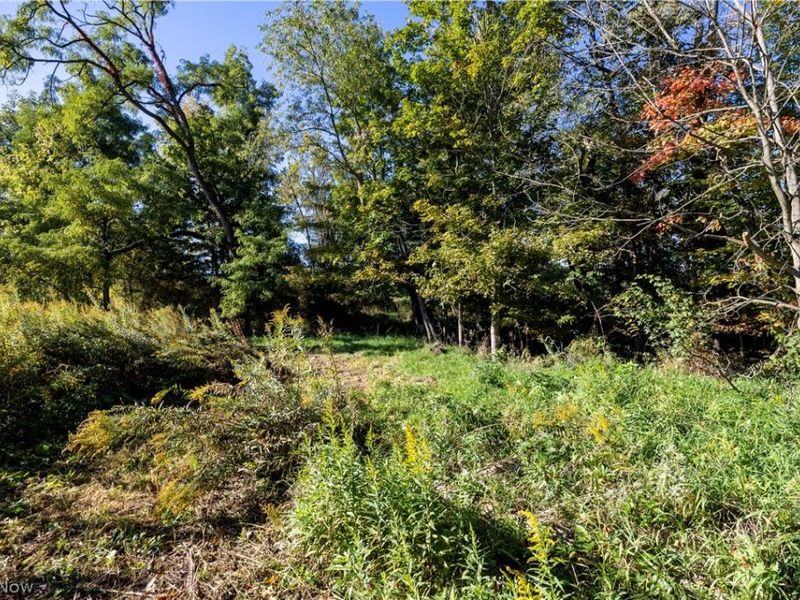 Alabama Avenue SW, Navarre, OH 44662 Photo 3