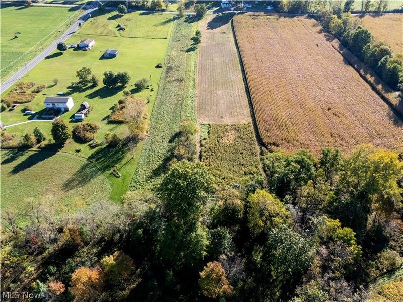 Alabama Avenue SW, Navarre, OH 44662 Photo 5
