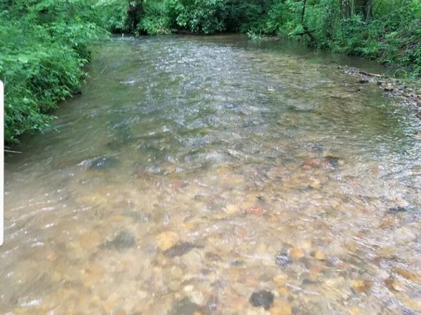 14551 E Highway 52, Ellijay, GA 30536