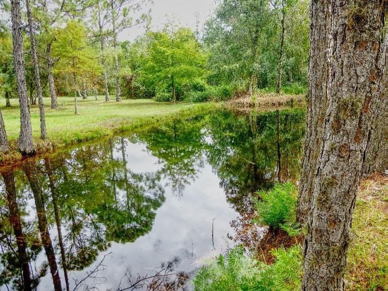 1001 Mcclellan Road , Frostproof, FL 33843 Photo