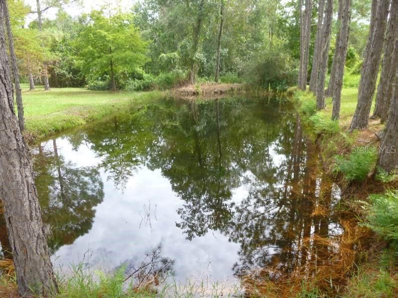 1001 Mcclellan Road , Frostproof, FL 33843 Photo