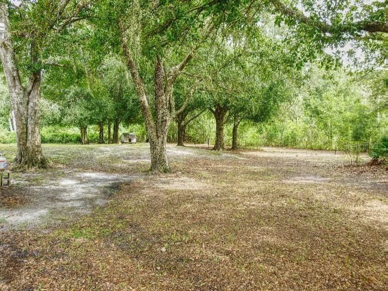 1001 Mcclellan Road , Frostproof, FL 33843 Photo