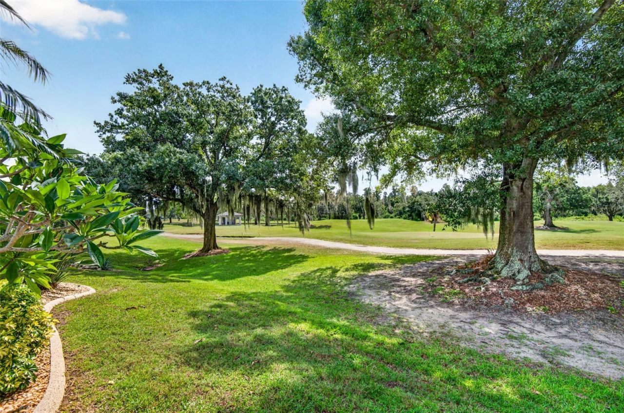 3825 Salida Delsol Drive, Sun City Center, FL 33573 Photo