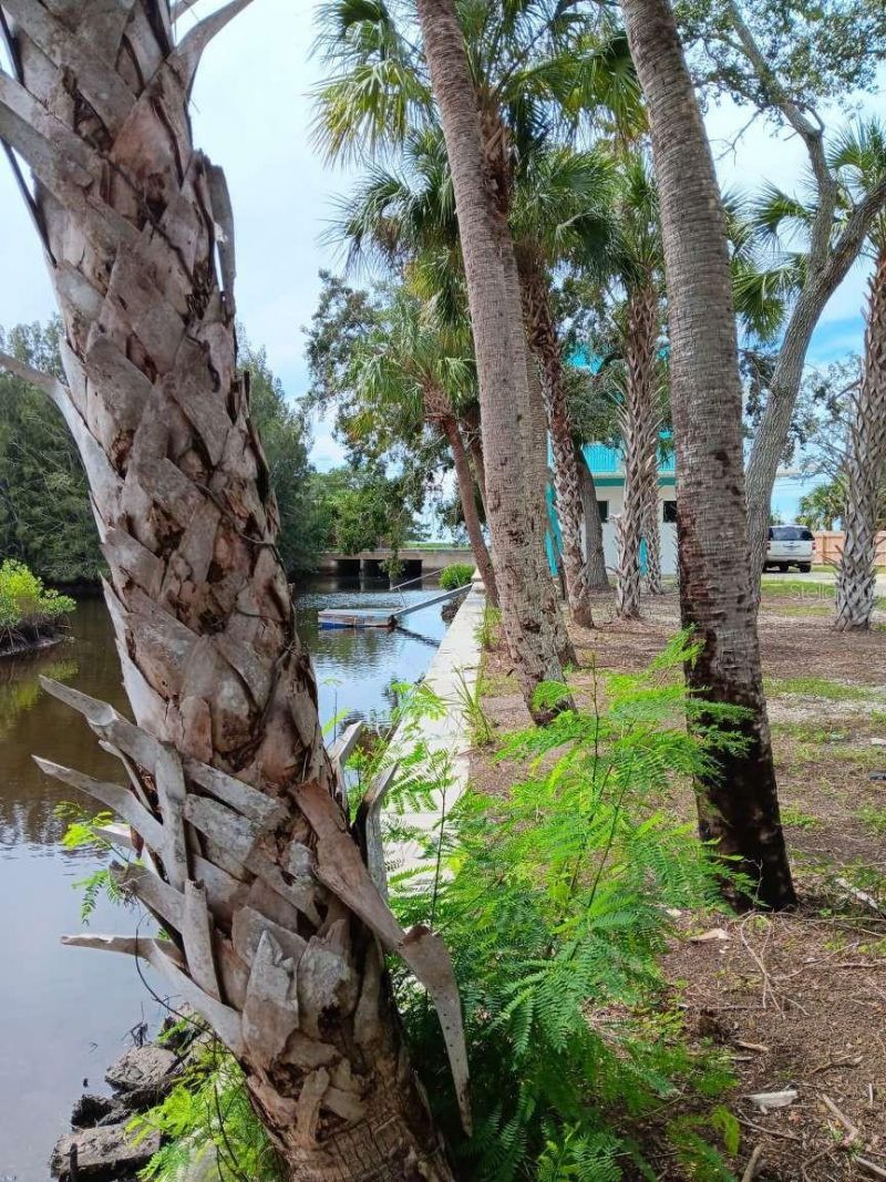1334 Osowaw Boulevard, Spring Hill, FL 34607 Photo