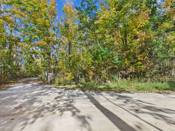 9067 Camp 3 Road, Atlanta, MI 49709