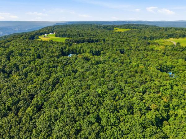 0 Big Bluff View, Unit 10, Pikeville, TN 37367