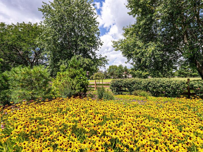 6210 Balmoral Drive, Dublin, OH 43017 Photo 56