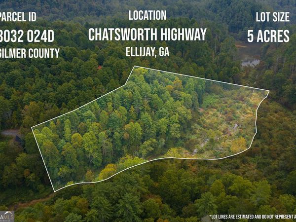 LT14-17 Conasauga Drive, Ellijay, GA 30540