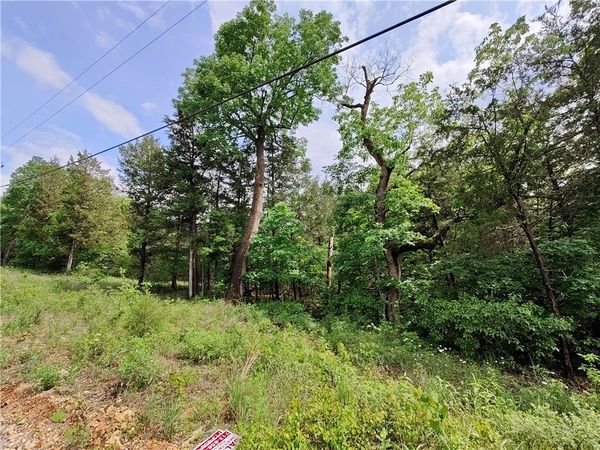 12 Sunrise Avenue , Holiday Island, AR 72631