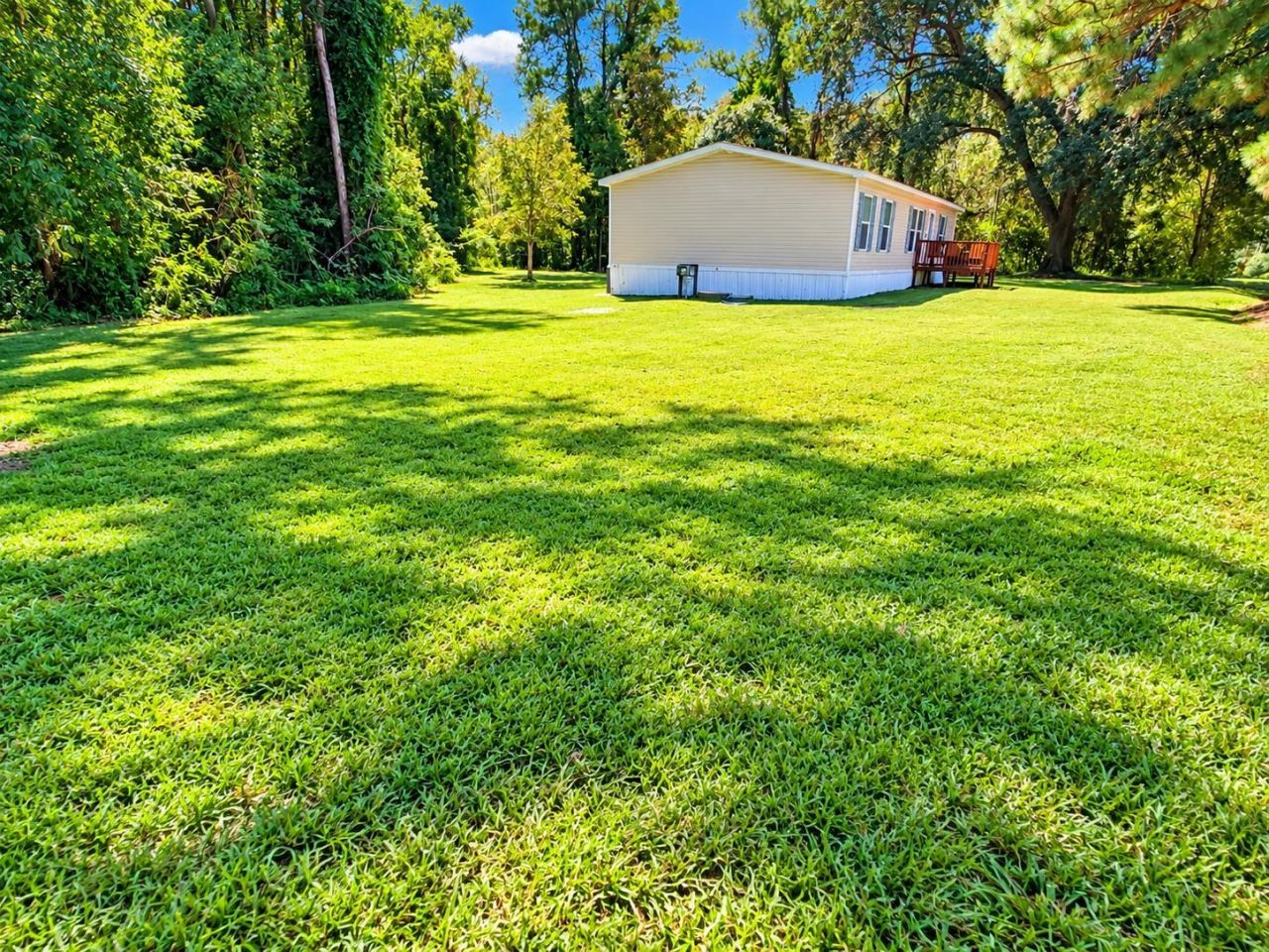 3821 Highway 1008 Photo 31