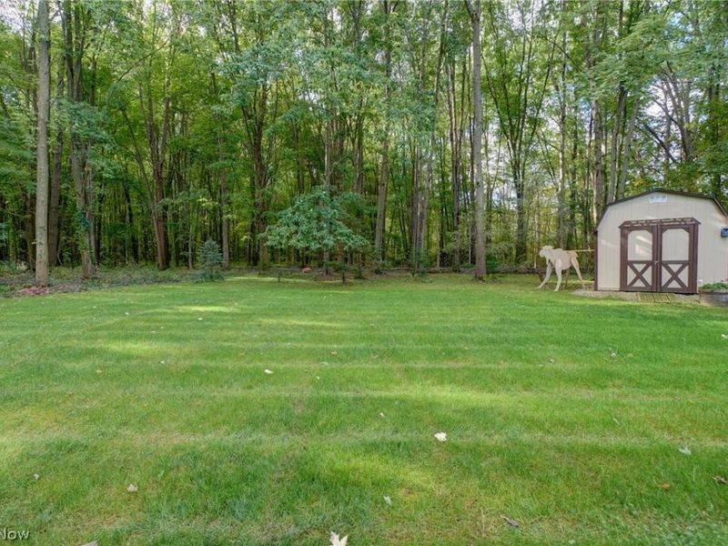 111 Squires Court, South Amherst, OH 44001 Photo 6