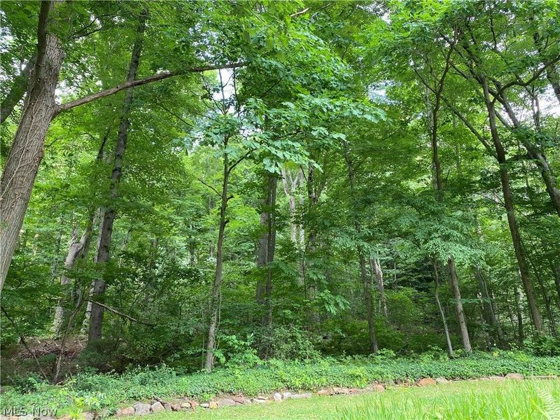17079 Cats Den Road, Chagrin Falls, OH 44023 Photo 32