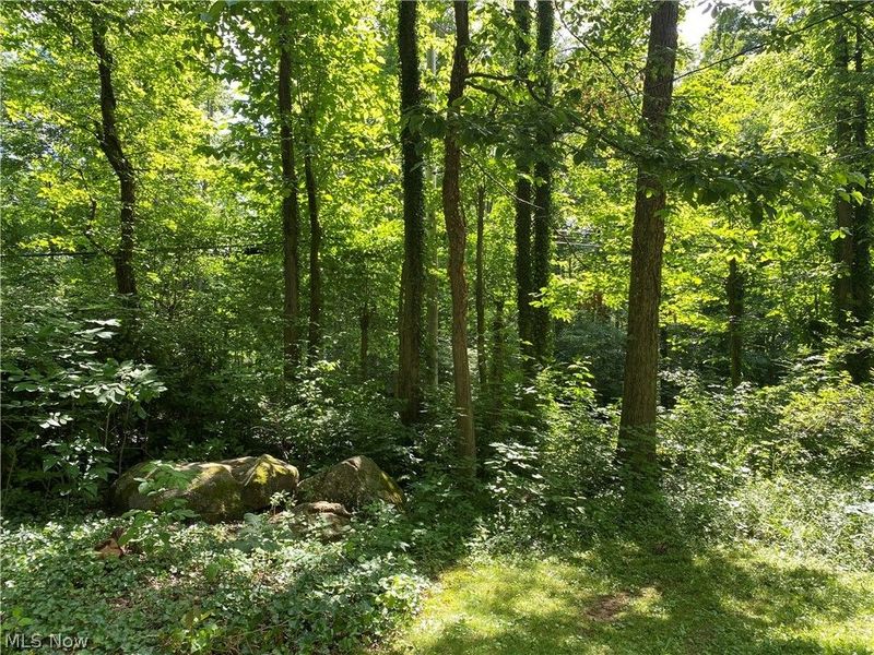 17079 Cats Den Road, Chagrin Falls, OH 44023 Photo 35