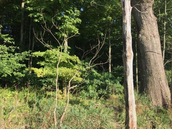 50 62nd Street, Decatur, MI 49045