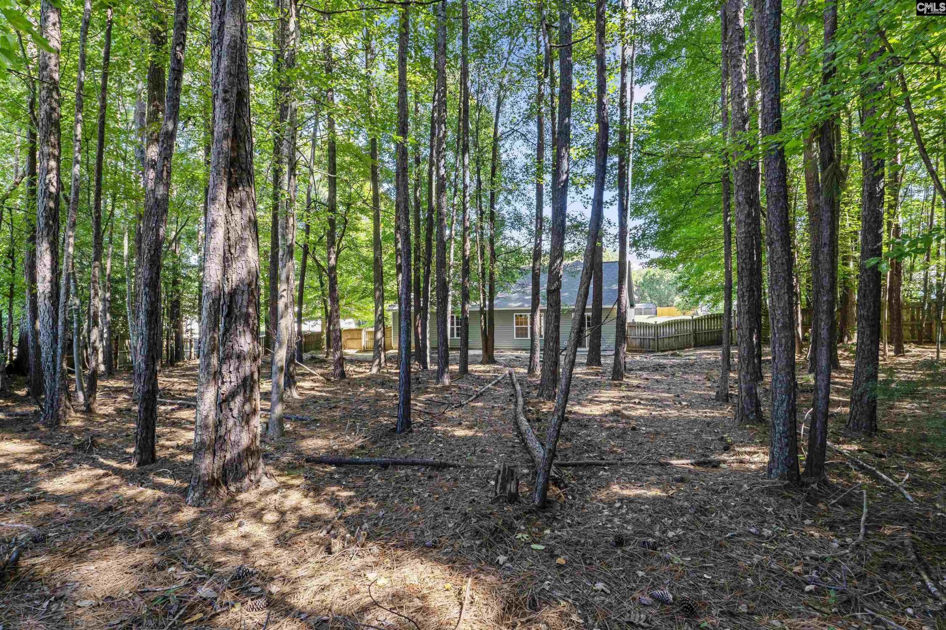 246 Blythe Creek Drive Photo 30