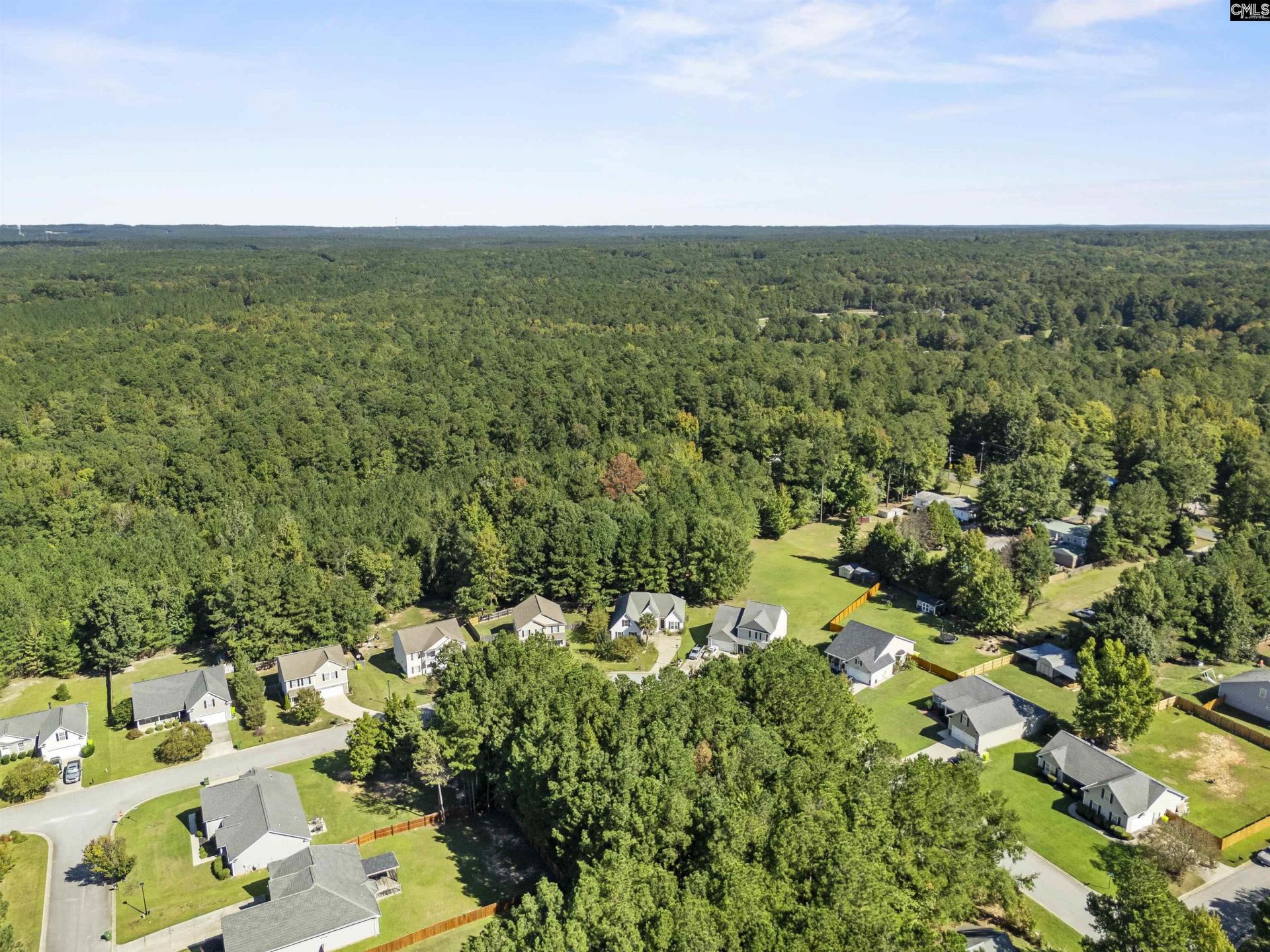246 Blythe Creek Drive Photo 40