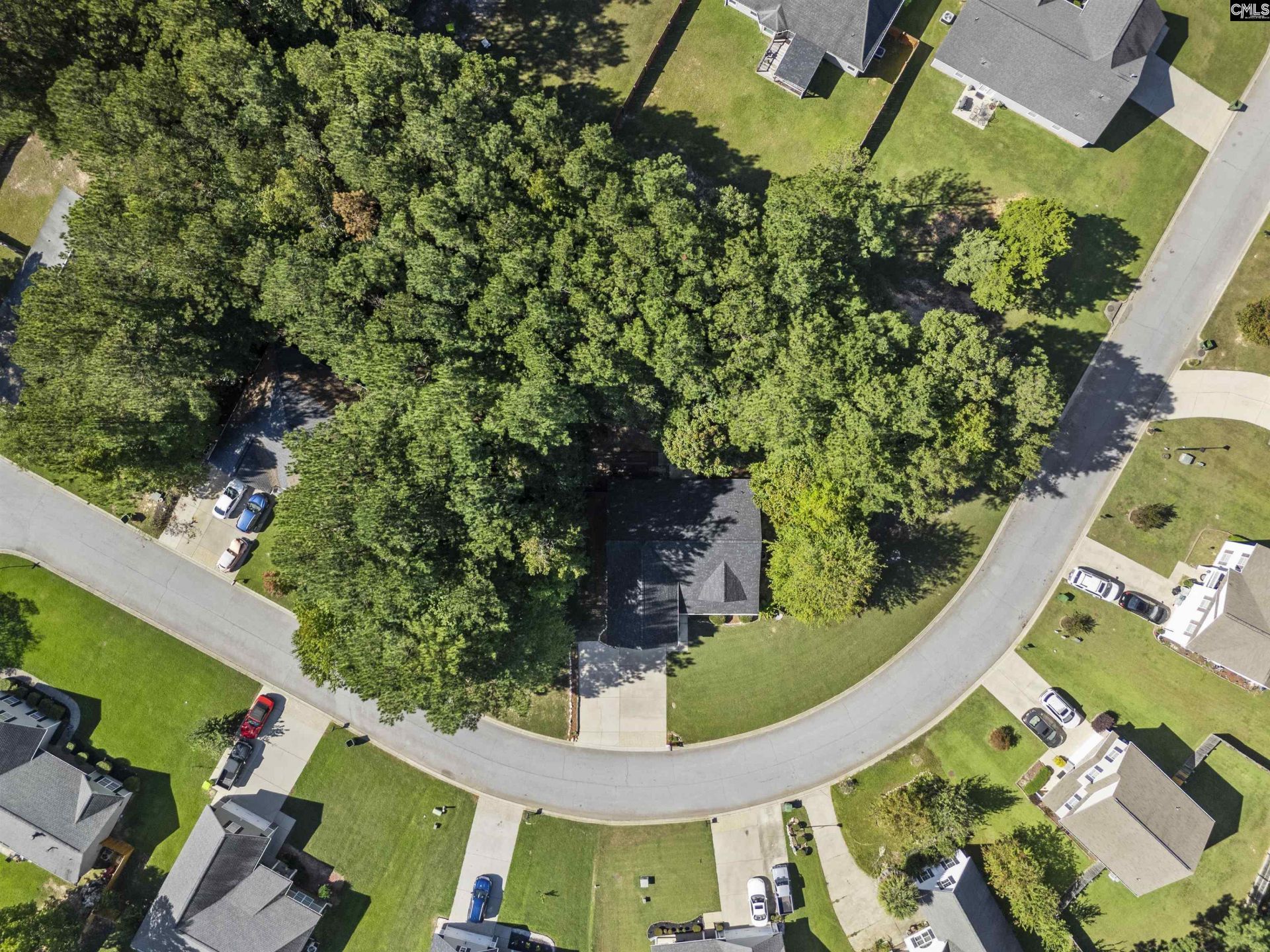246 Blythe Creek Drive Photo 41
