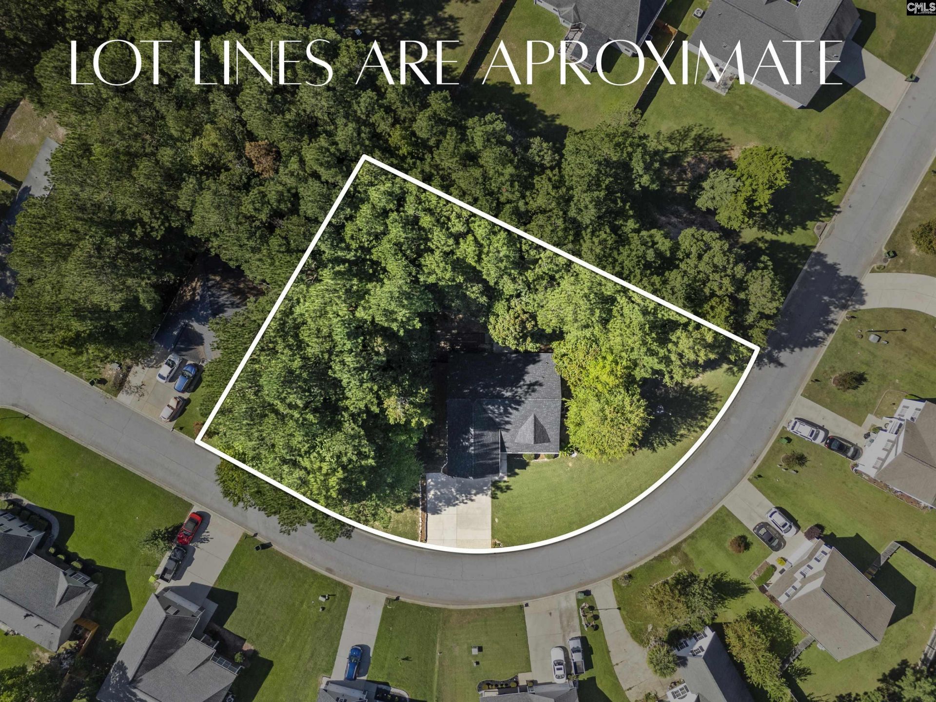 246 Blythe Creek Drive Photo 42