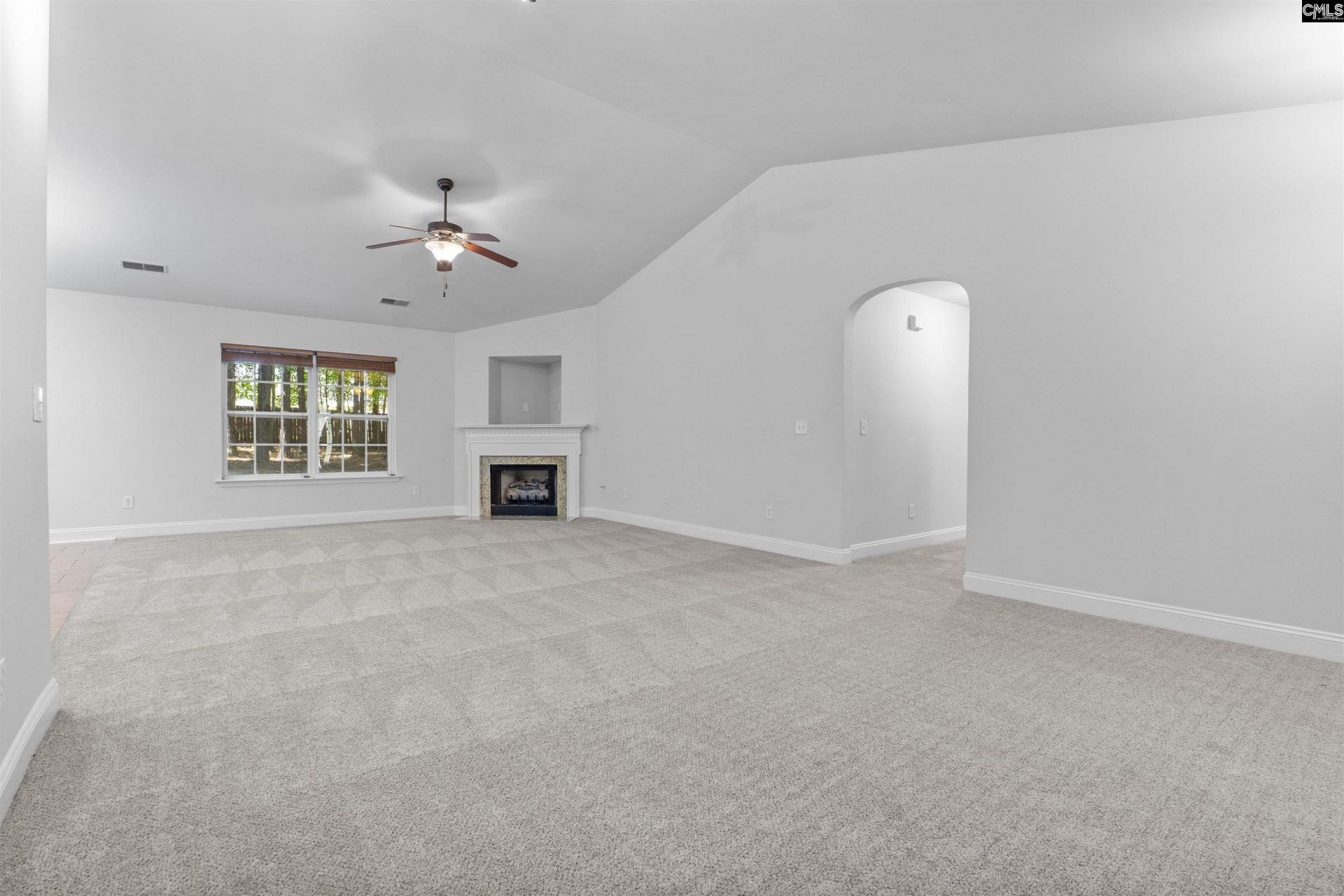 246 Blythe Creek Drive Photo 6