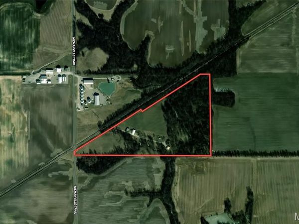 1406 Niemanville Trail, Walshville, IL 62091
