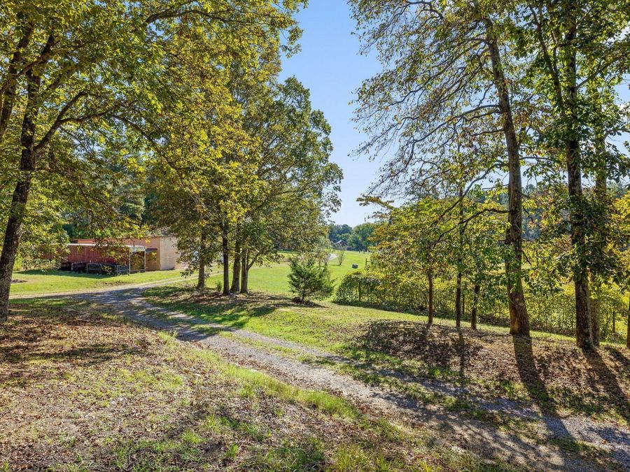 Property Image 40